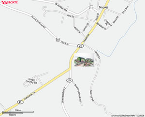 Click on image for larger map